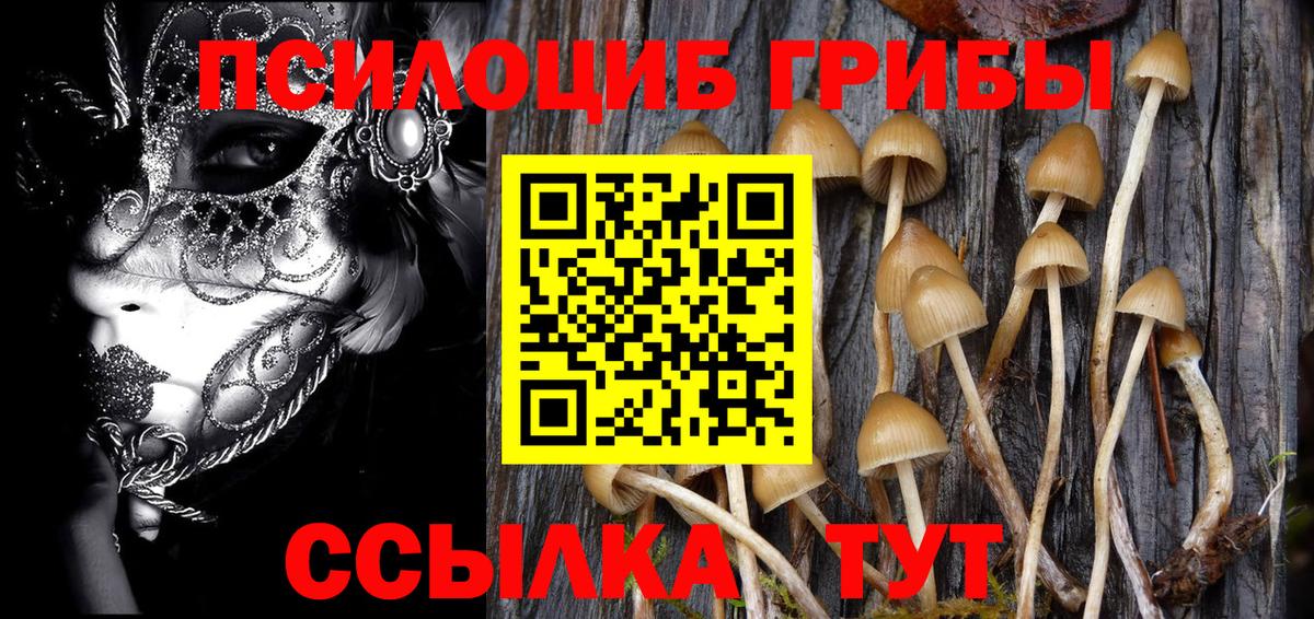 Псилоцибиновые грибы Psilocybine cubensis Джанкой